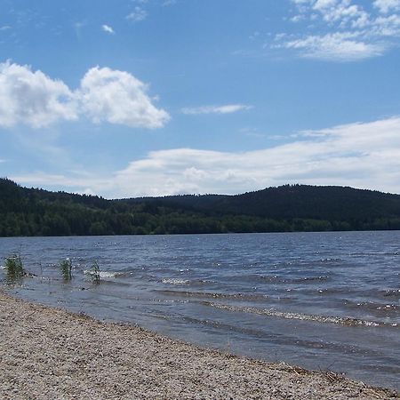 Apartment Lipno Lipno nad Vltavou Bagian luar foto
